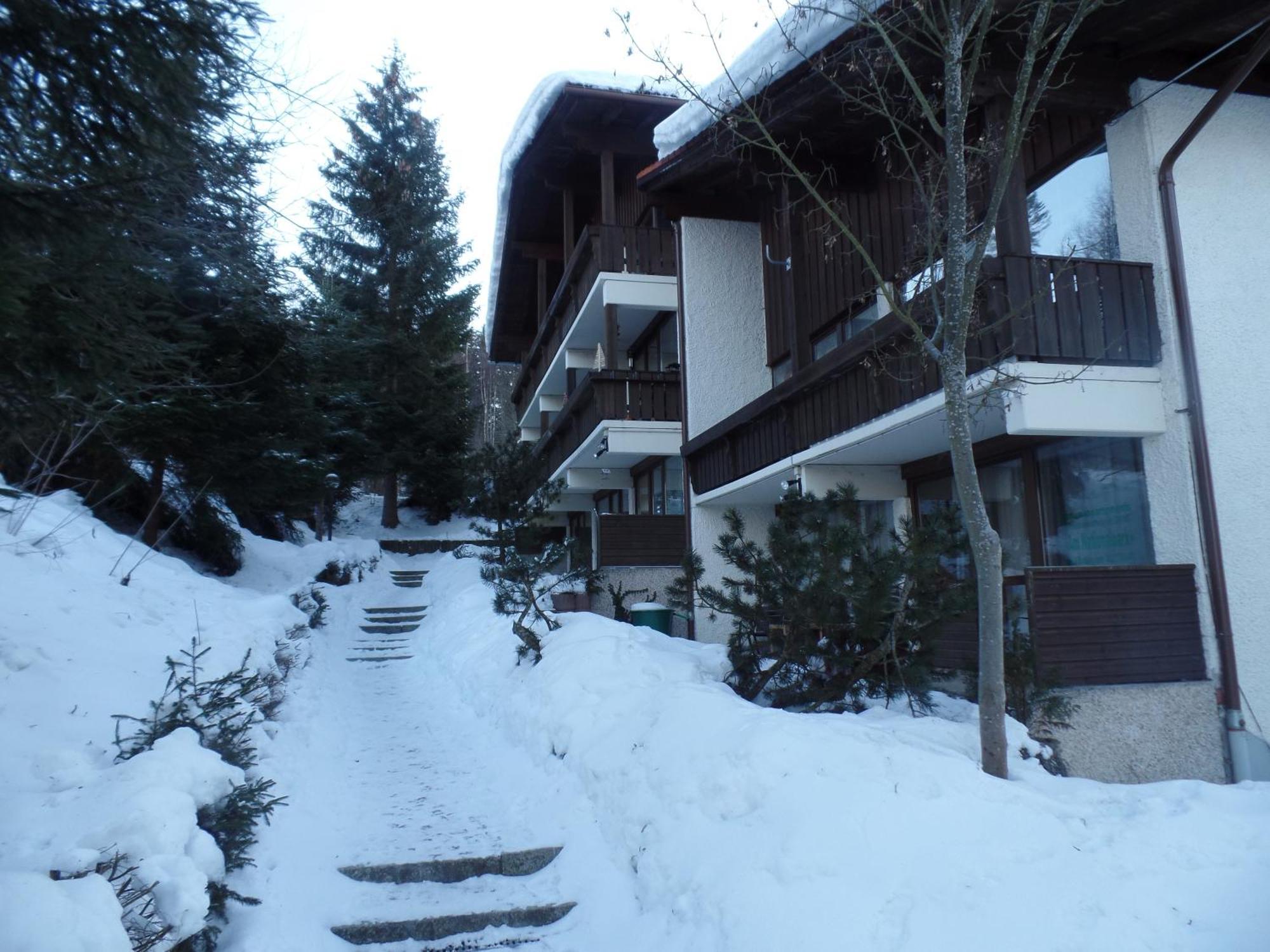 Am Waldrand Appartement Bayerisch Eisenstein Buitenkant foto