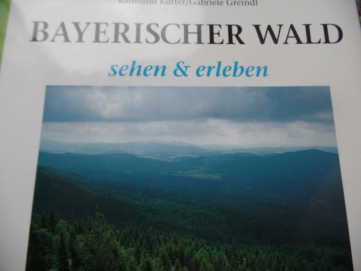 Am Waldrand Appartement Bayerisch Eisenstein Buitenkant foto